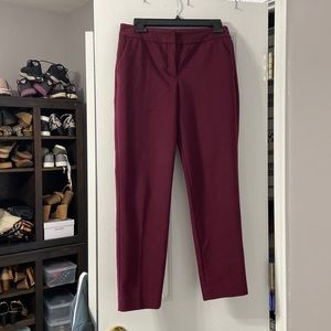 Columnist dress pants